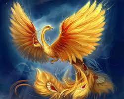 podemos salir de esta ave fenix aves mitologicas ave fenix dibujo