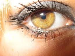 Pin By Rain Tahtinen On Me I Guess Amber Eyes Color Amber Eyes Hazel Eye Makeup