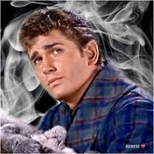 900+ Michael Landon ideas