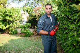 Zaunbau durch garten und landschaftsbauer. Selbststandig Machen Als Gartenhelfer Selbststaendig De