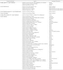 Image result for Sesbania keniensis