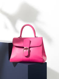 Brillant Familie Een Iconische Tas Delvaux