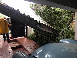 By redacción on 4 abril, 2017. Arvore Cai Sobre Casa No Centro De Sao Jose Dos Campos Sp Vale Do Paraiba E Regiao G1