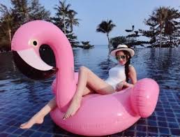 Flamingo Schwan Grosse Aufblasbar Schwimmring Schwimminsel Luftmatratze Pool Xxl Schwimmringe Pool Spielzeug Schwimmen