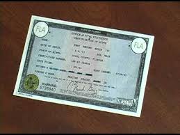 The florida department of highway safety and motor renewing your florida id card will cost you $25. Getting Your Florida Driver License Or I D Youtube