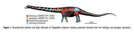 Quels sont les plus grands dinosaures? Le Dinosaure Le Plus Gros Du Monde Etait Aussi Long Et Lourd Qu Un Airbus A320 Sciences Et Avenir