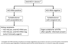 Management Of Hepatitis C Virus Infection In Patients With