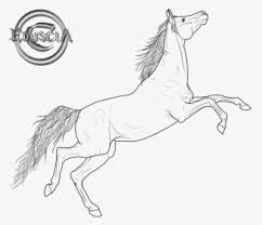 The runners run along particular paths. Galloping Horses Coloring Pages Rearing Horse Drawing Free Coloring Pages Breyer Horse Hd Png Download Kindpng