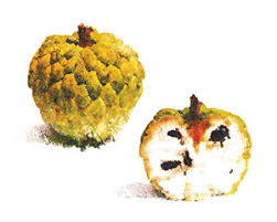 Apples, avocado, bananas, citrus, figs, guava, jackfruit, japanese persimmons, loquats, lychee, mangoes, mulberries, papayas, peaches, and tamarind all grow well in florida. 10 Florida Fruits You Might Not Know Edible Orlando