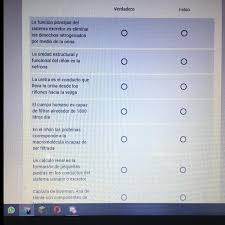 Es un fontanero estadounidense de origen italiano de 24 o 25 años que actualmente vive en el reino champiñón. Di Jugar Verdadero Falso Test Juegos De Mesa Verdadero O Falso 6 Consola Y Tablero