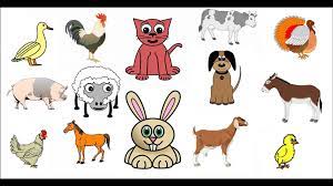 Los Sonidos De Los Animales De La Granja Con Dibujos Animados Para Ninos Y Bebes Video Dailymotion