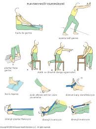 Turan Arikan Adli Kullanicinin Fizik Panosundaki Pin Fizik Tedavi Egzersizleri Egzersiz Topuk Dikeni