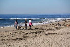 Coffee & breakfast, and wine shop. Mavericks Beach Half Moon Bay Ca California Beaches