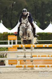 This passion has grown significantly from the introduction of horse racing and polo by the british in the 1800's, and its rapid adoption by the sultans and their associates. Riding School Selangor Turf Club
