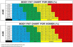 Ideal Body Fat Percentage For Men Over 50 Weightloss