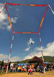 8 besar lomba merpati kolong wmc,dengan hadiah new beat. Merpati Tinggian Kolong Dari Tinggian Lapak Hingga Perlunya Bantalan Om Kicau