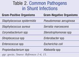 Pharmacology Of Shunt Infections
