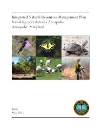 Image result for Rhynchosia torrei