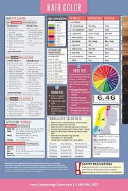 Amazon Com Salon Hair Color Laminated Poster 18 X 27 Inch For Hair Stylist Salons Educator Professional Hair Color Chart Hair Color Wheel Hair Color Chart