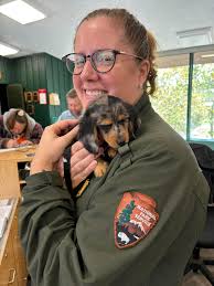 New Bark Ranger Achievement and National Park Visits