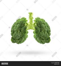 We go over all the steps of. Conceptual Image Green Image Photo Free Trial Bigstock
