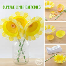 We did not find results for: Cupcake Liner Daffodils