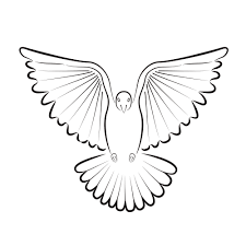In christian iconography, a dove also symbolizes the holy spirit, in reference to matthew 3:16 and luke 3:22 where the holy spirit is compared to a dove at the baptism of jesus. Dove Symbolism