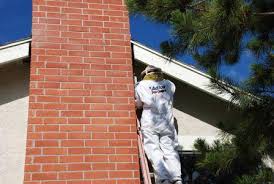 At premier pest control, inc, we've built our livelihoods on eliminating pests from people's homes. Chula Vista Bee Extermination Bee Removal Swarm Service Adios Pest Control
