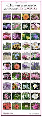 Pin On Flower Types