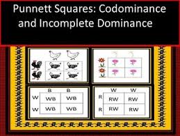 Austrian scientist gregor mendel is known as the father of genetics for his pioneering work with pea plants. Genetic Punnett Square Practice Dominance Incomplete Dominance And Monohybreds Punnett Squares Life Science Middle School Biology Lessons