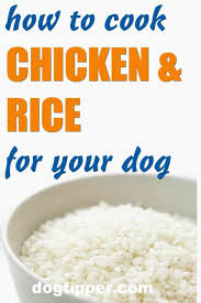 How To Cook Chicken And Rice For Dogs