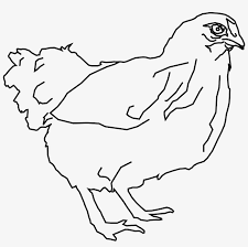Free clip art images designed with cute chicken. Outline Chicken Clip Art Free Vector 4vector Hen Black And White Clipart Png Image Transparent Png Free Download On Seekpng