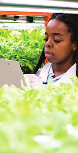 Cyber Security Capacity in Canadian Agriculture