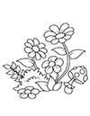 Kostenlose Ausmalbilder Blumen Zum Ausdrucken