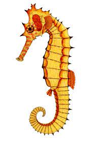 Yellowseahorse Png 364 567 Pixels Cardboard Paper Craft Sea Creatures Artsy Illustration