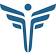 FEI Systems logo