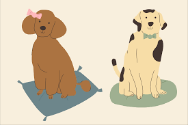 Having a dog health insurance plan from pets best can help provide peace of mind knowing you can focus on your dog's vet care and not the bill from the vet. Spay Vs Neuter What S The Difference Daily Paws