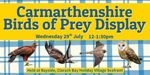 Free Birds of Prey Display