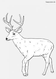 Maybe you would like to learn more about one of these? 35 Reh Zum Ausmalen Besten Bilder Von Ausmalbilder