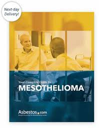 Medically reviewed by top mesothelioma doctors. Mesothelioma Life Expectancy How To Improve Life Span