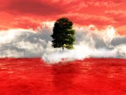Image From Http Www Hdwallpapersnew Net Wp Content Uploads 2015 02 Flag Of Lebanon Top Hd New Wallpapers For Desktop Backg Lebanon Flag Lebanese Flag Lebanon