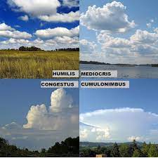 Maybe you would like to learn more about one of these? Cumulus Clouds