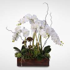 Real Touch Phalaenopsis Orchid With Succulents In A Dark Wooden Rectangular Container 20c Silk Flower Arrangements Phalaenopsis Orchid Buy Orchids