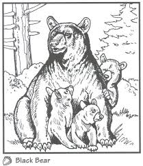 This is a great collection of bears coloring pages. Backyard Animals And Nature Coloring Books Free Coloring Pages Bear Coloring Pages Coloring Books Animal Coloring Pages