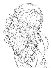 Add blue food coloring to each bottle. Jellyfish Coloring Pages Coloring Home