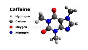 Estrutura Química Da Molécula Da Cafeína A Fórmula Estrutural Da Cafeína  Com Os Feijões De Café Do Marrom Escuro Ilustração Stock - Ilustração de  escuro, estrutural: 61646367