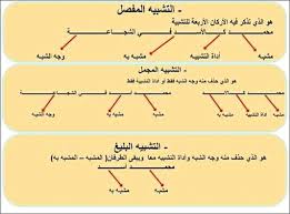pin by سنا الحمداني on علم النحو chart diagram line chart