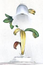 Blumenlampe Gunstig Kaufen Online Shop