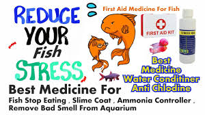 Best Water Conditioner Stress Heal Liquid For Aquariums Fish Stress Healing Aquarium Fish