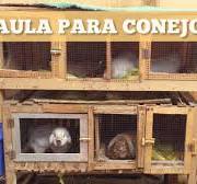 Como hacer JAULA para CONEJOS con NIDO / Demostración
